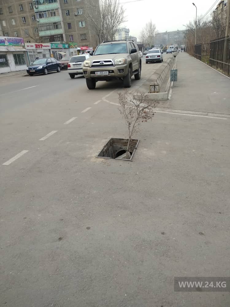 В микрорайоне «Восток-5» украли ливневую решетку