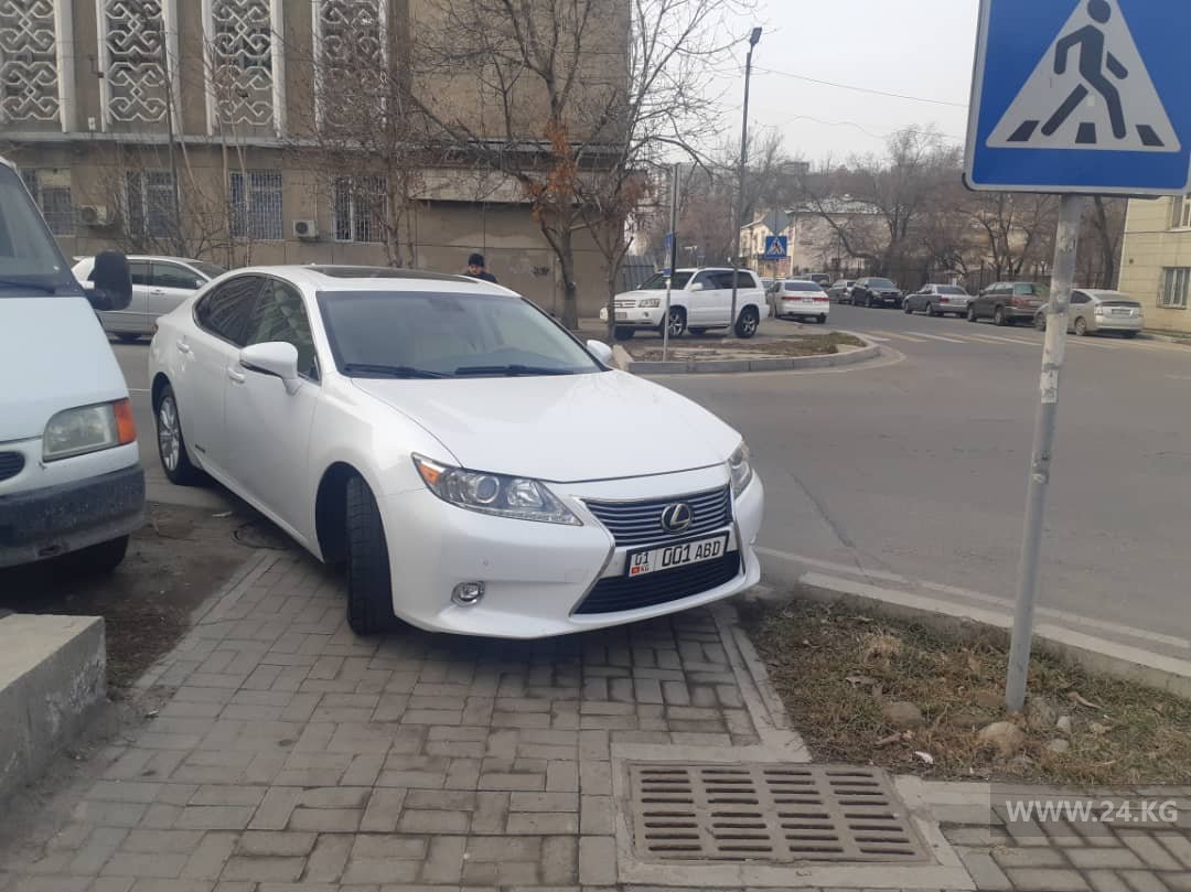 Чудаки парковки