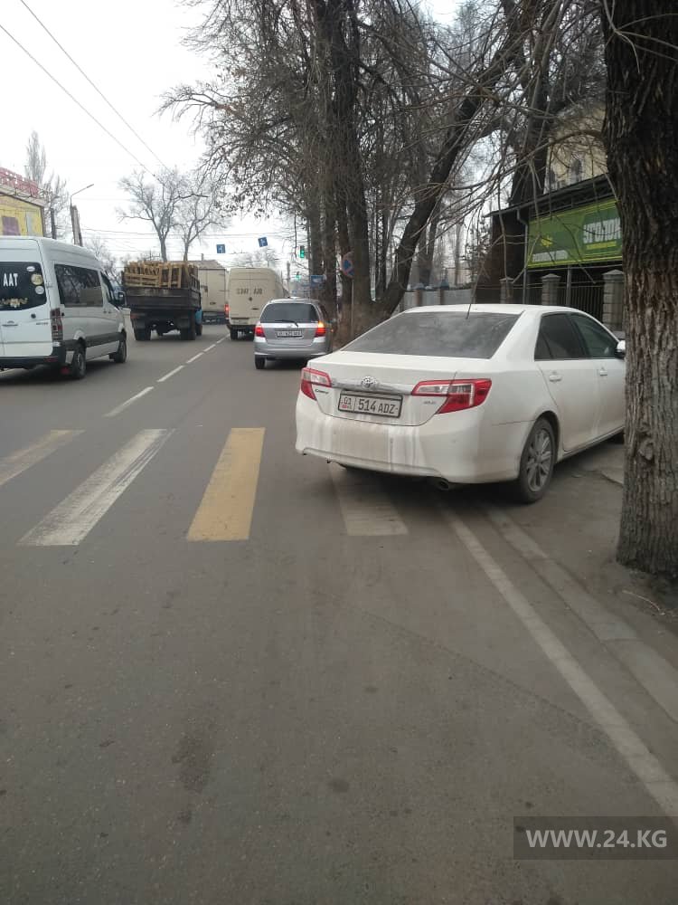 Чудаки парковки