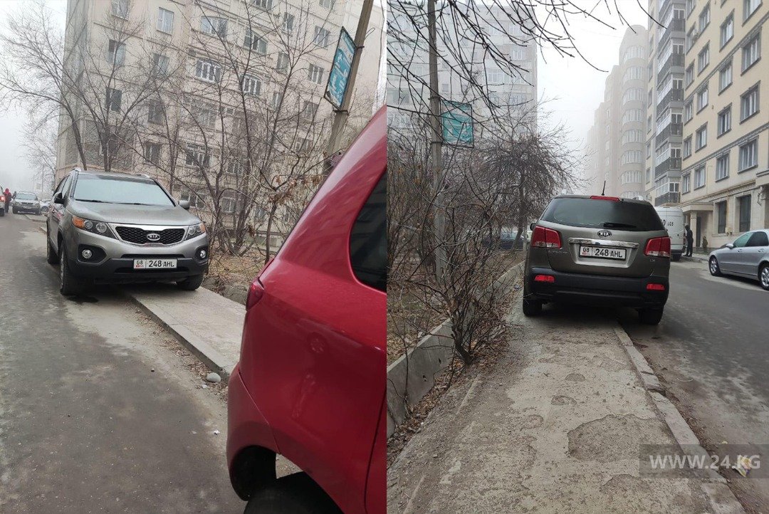 Чудаки парковки