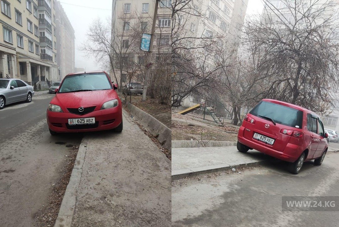 Чудаки парковки