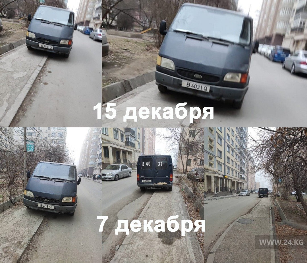 Чудаки парковки