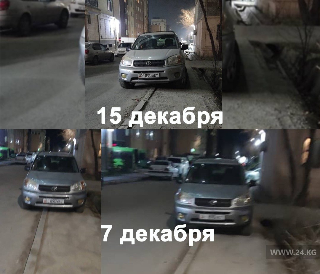 Чудаки парковки
