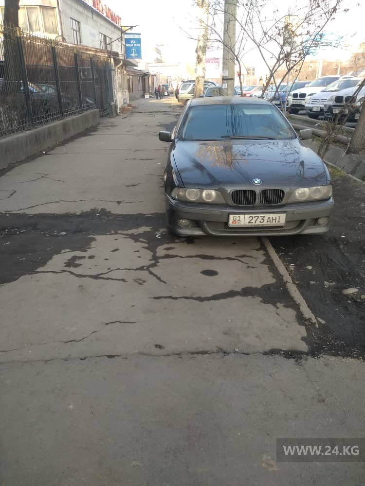 Чудаки парковки