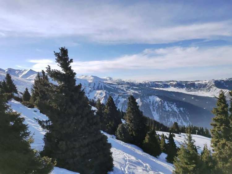 Каракол