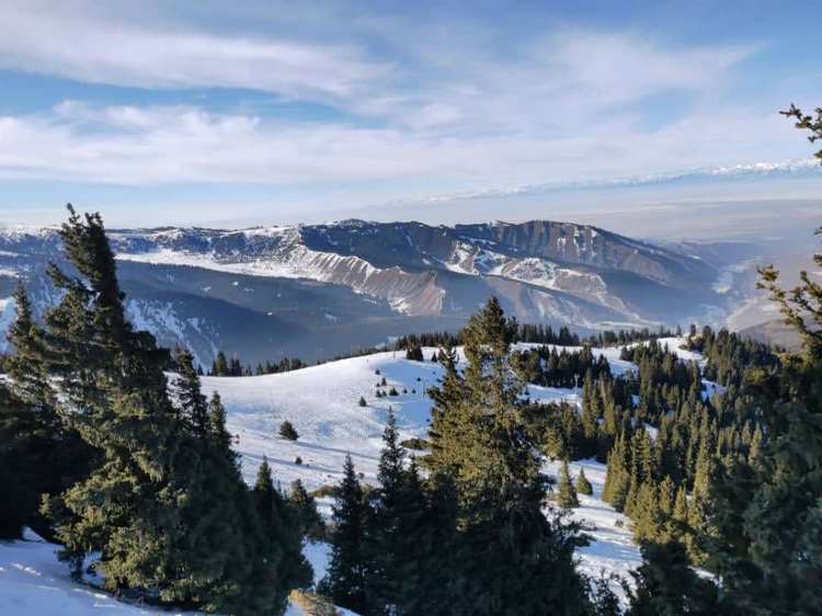 Каракол