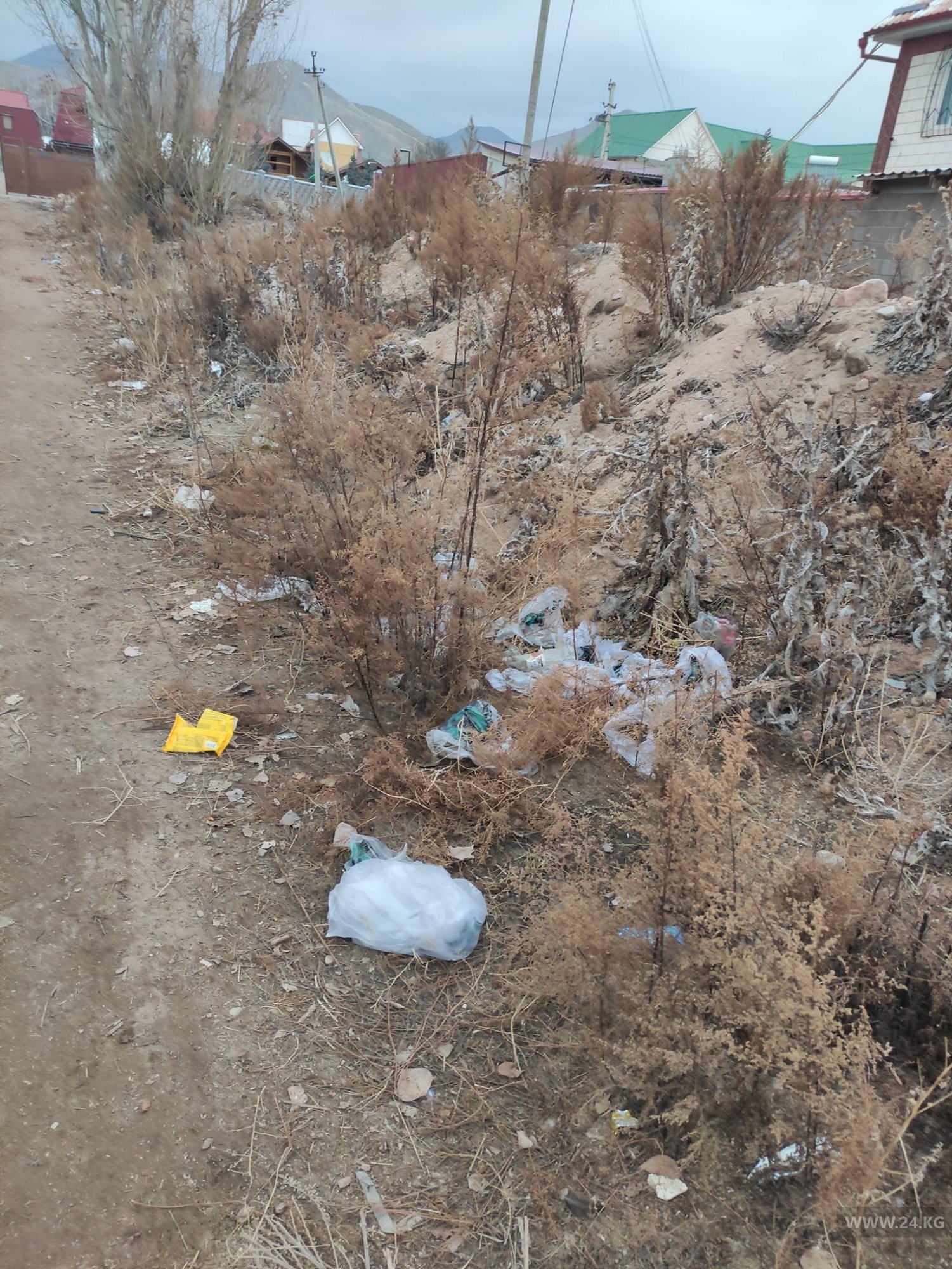 Чолпон-Ата
