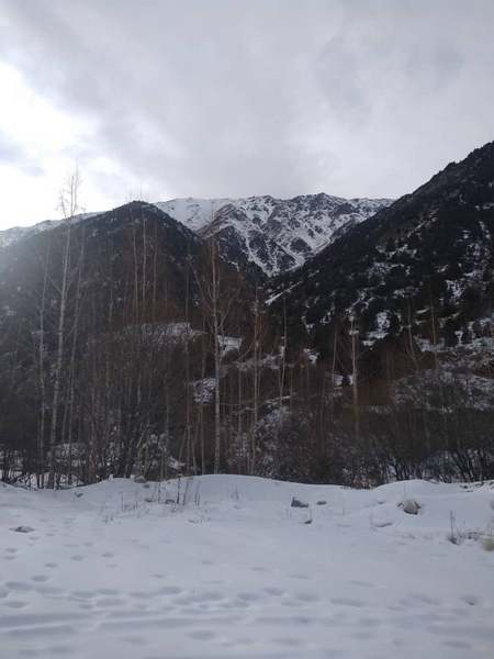 Природный парк «Ала-Арча»