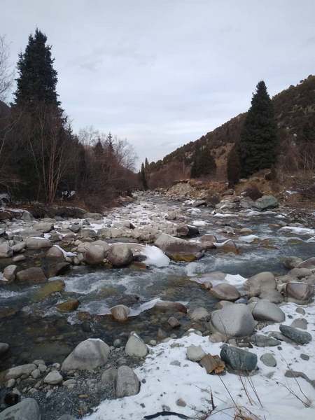 Природный парк «Ала-Арча»
