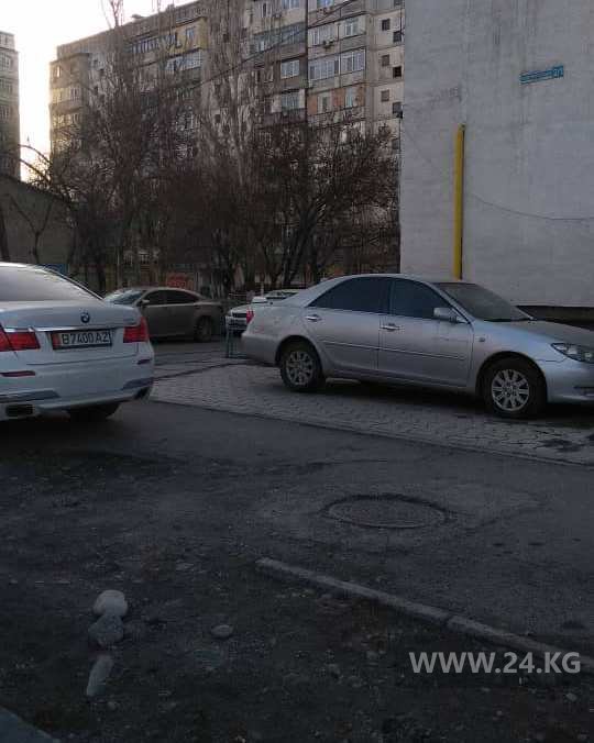 Чудаки парковки