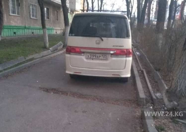 Чудаки парковки