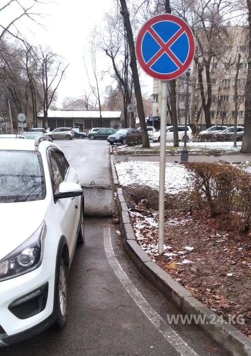 Чудаки парковки