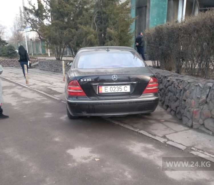 Чудаки парковки