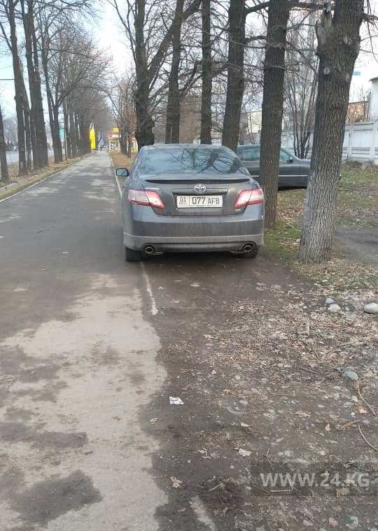 Чудаки парковки