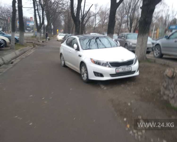 Чудаки парковки