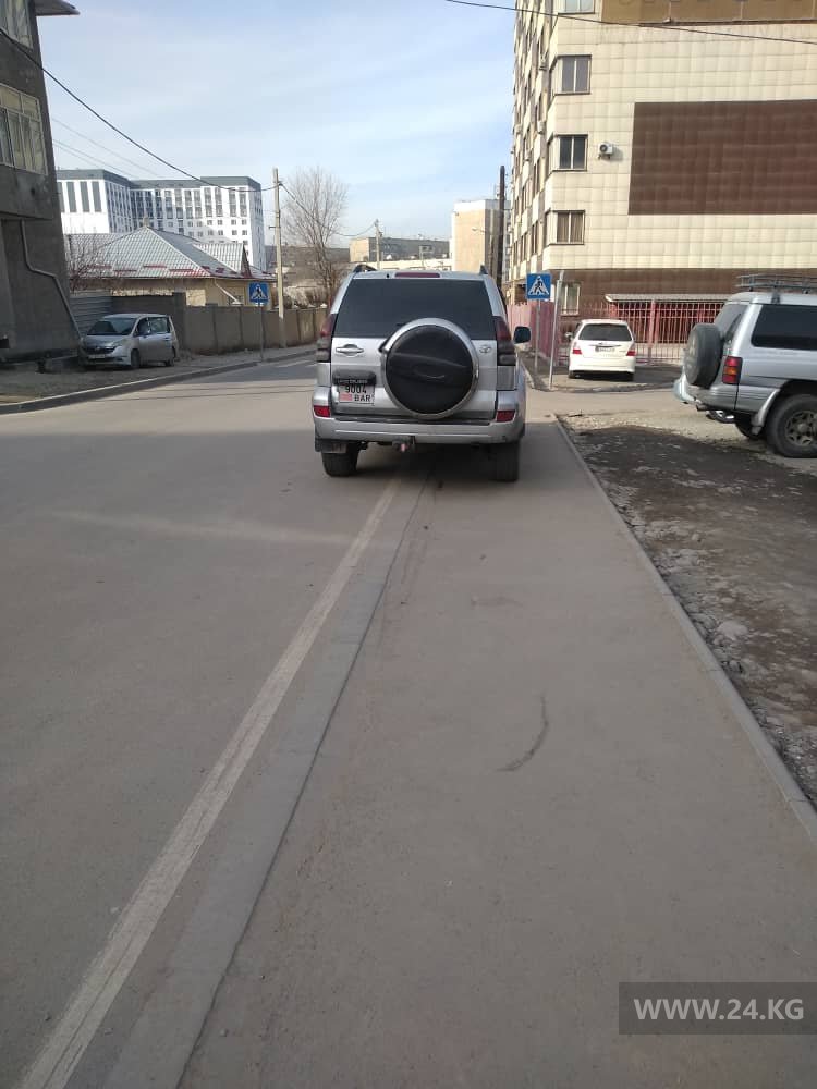 Чудаки парковки
