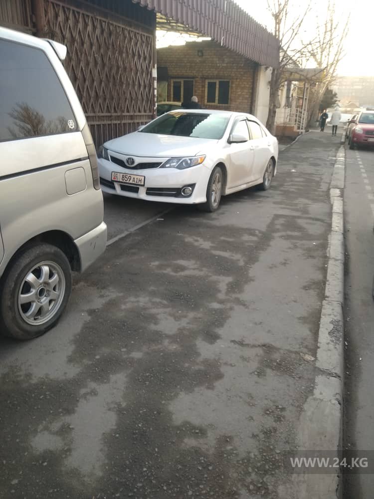 Чудаки парковки