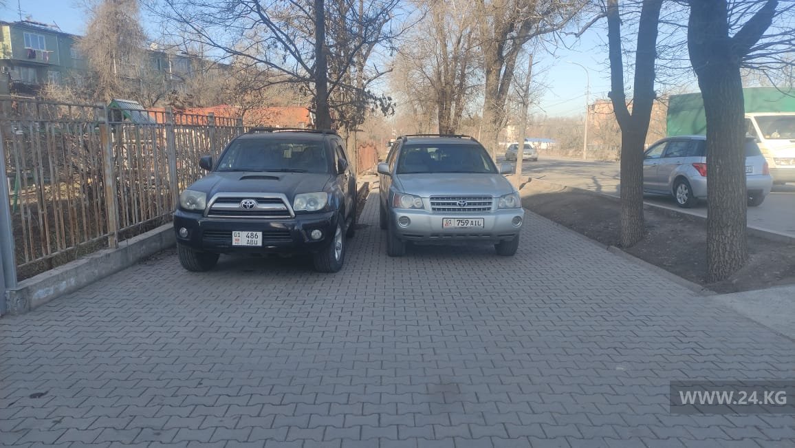 Чудаки парковки