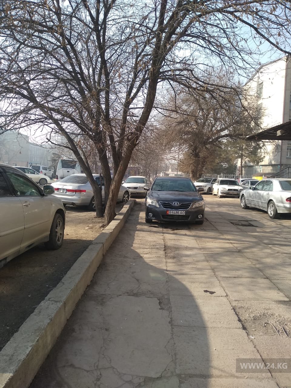 Чудаки парковки