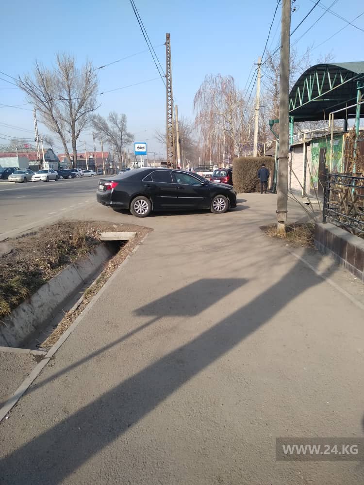 Чудаки парковки