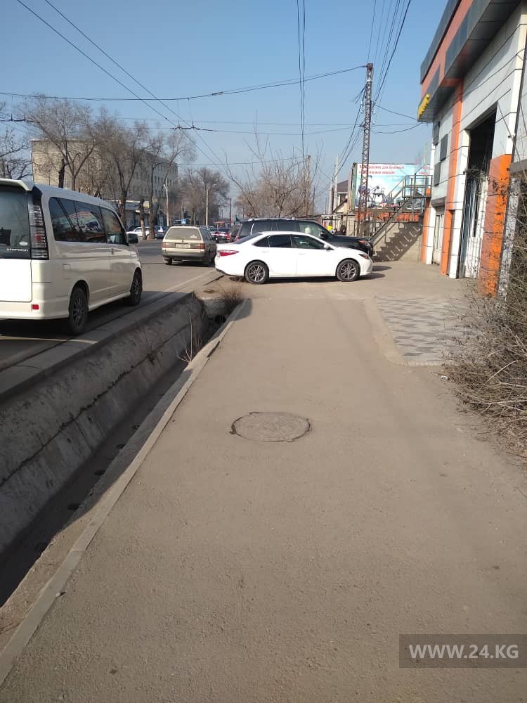 Чудаки парковки