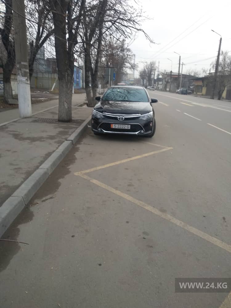 Машины мешают общественному транспорту