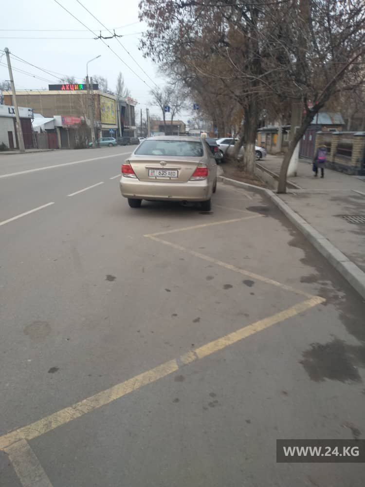 Машины мешают общественному транспорту