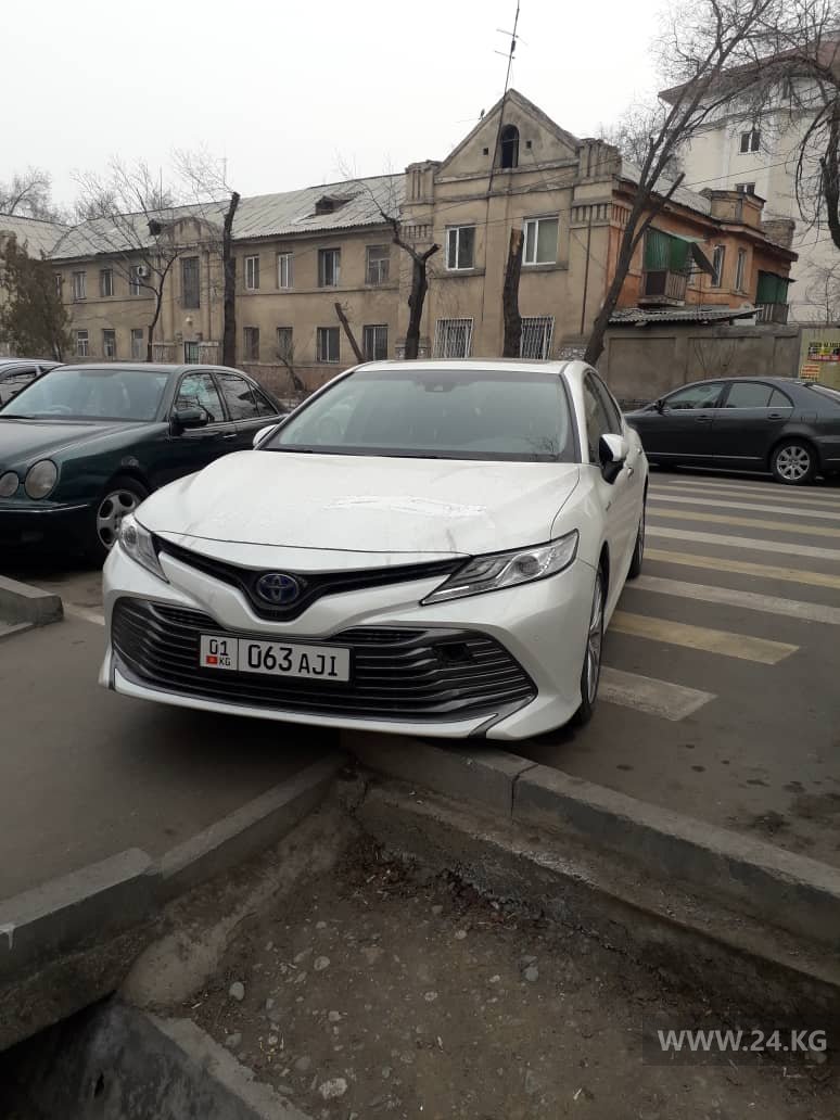 Чудаки парковки