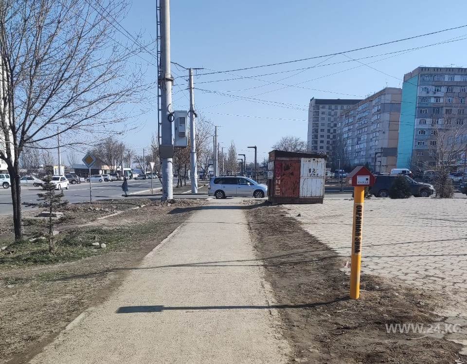 Чудаки парковки