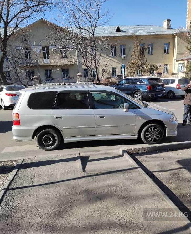 Чудаки парковки