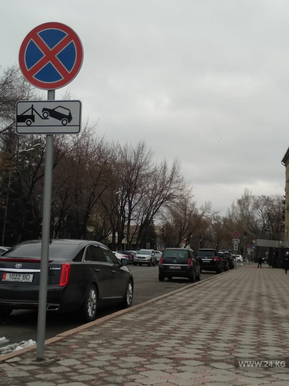 Чудаки парковки