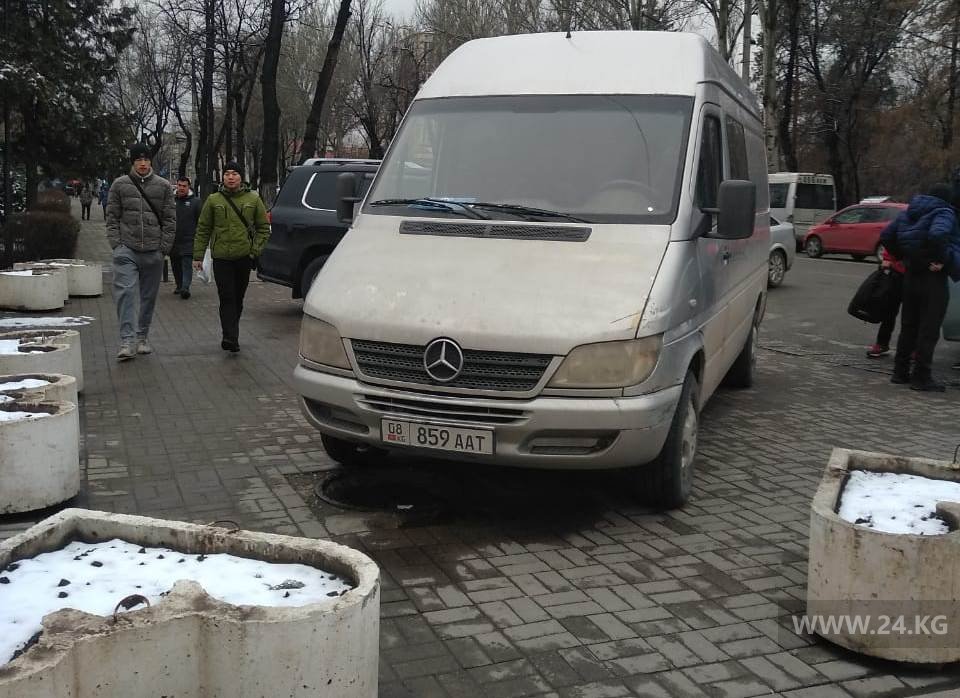Чудаки парковки