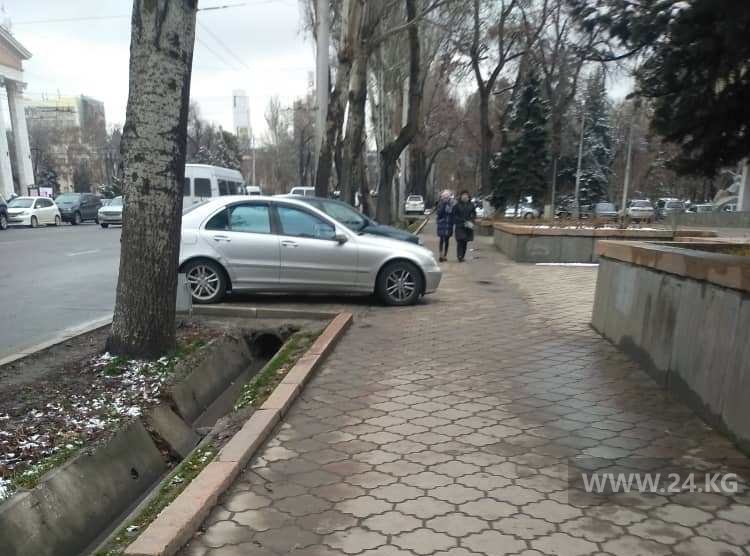 Чудаки парковки