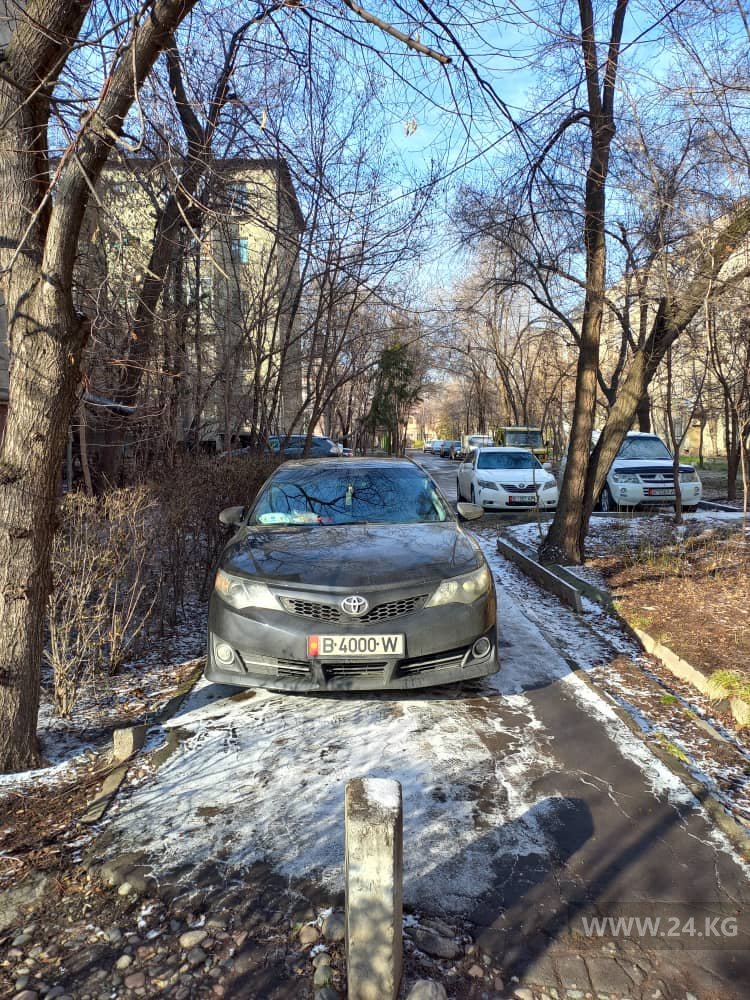 Чудаки парковки