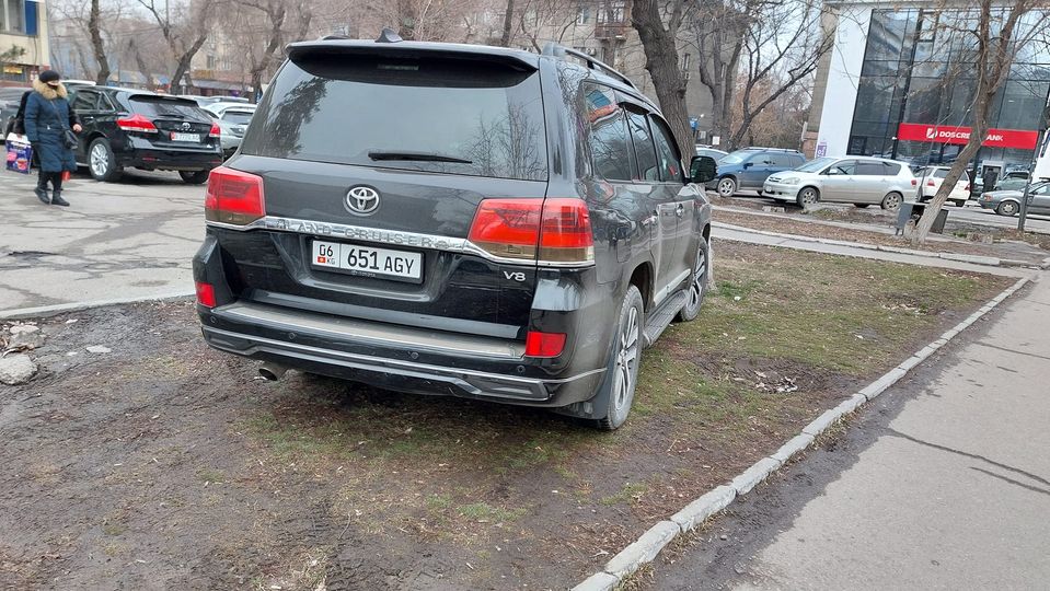 Чудаки парковки
