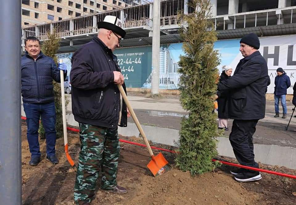 Озеленение города