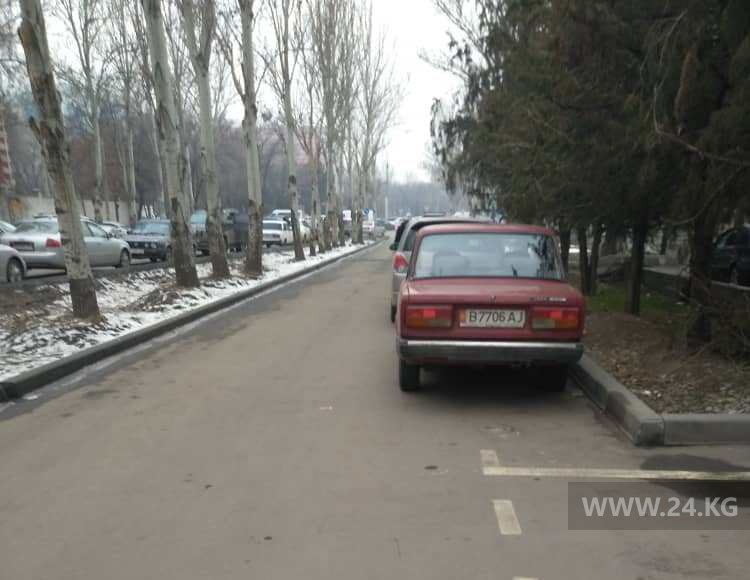 Чудаки парковки
