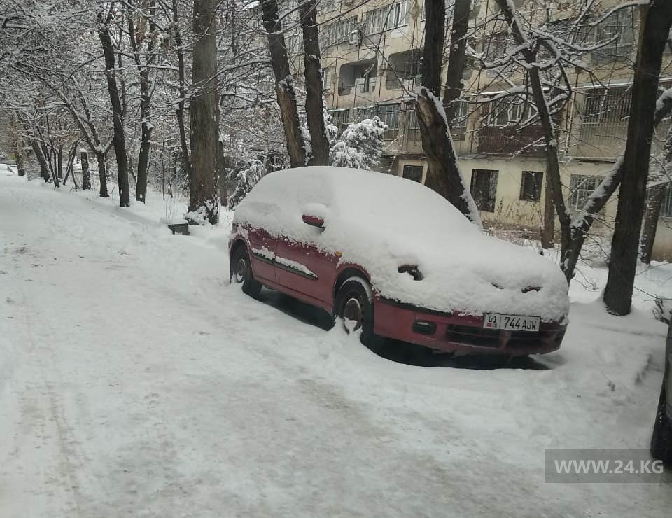 Чудаки парковки