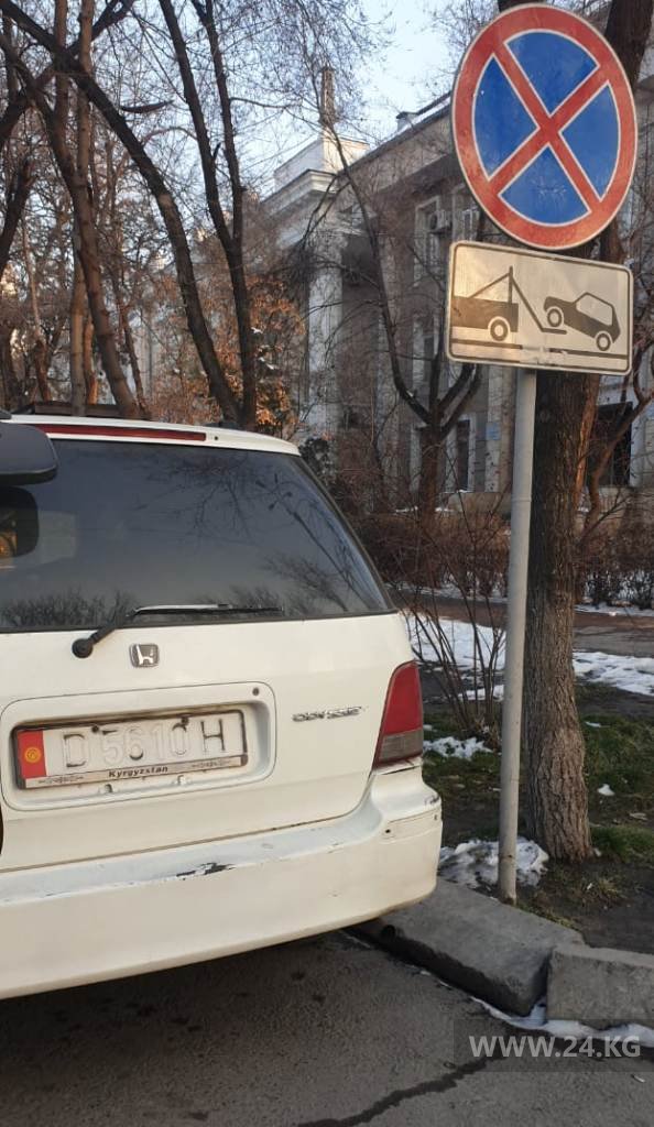 Чудаки парковки