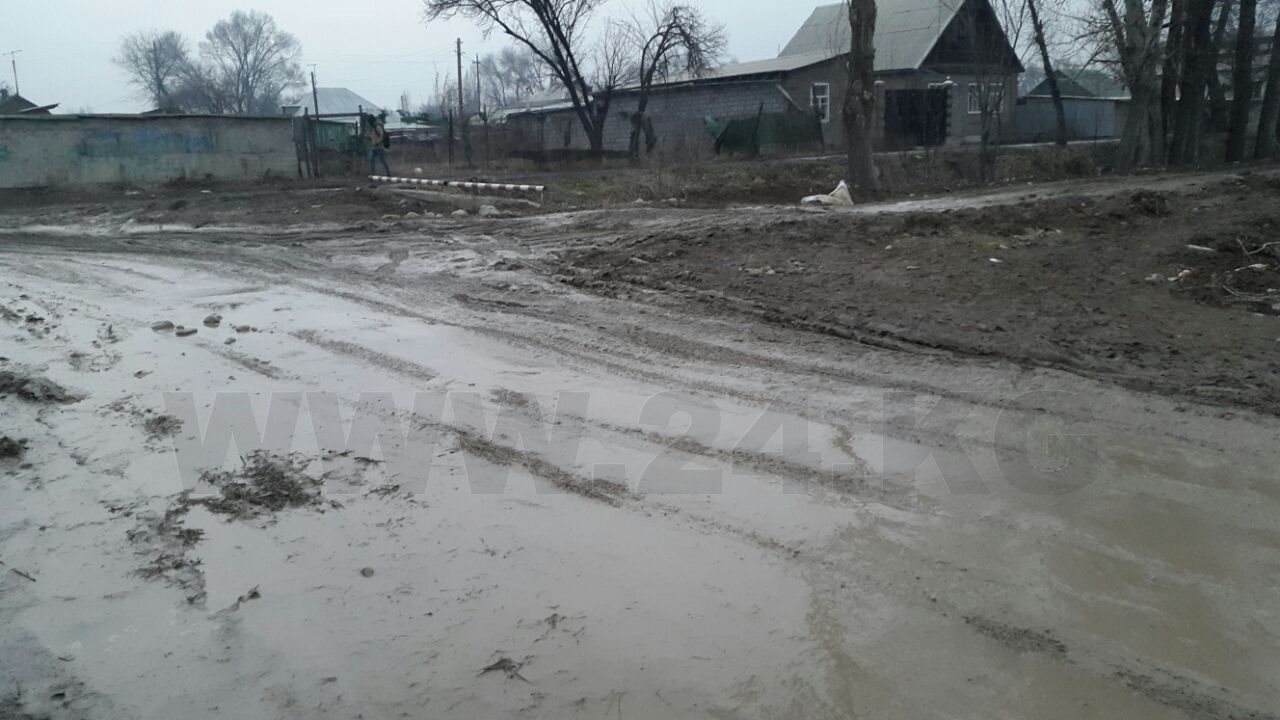 Улица в новостройке села Новопокровка