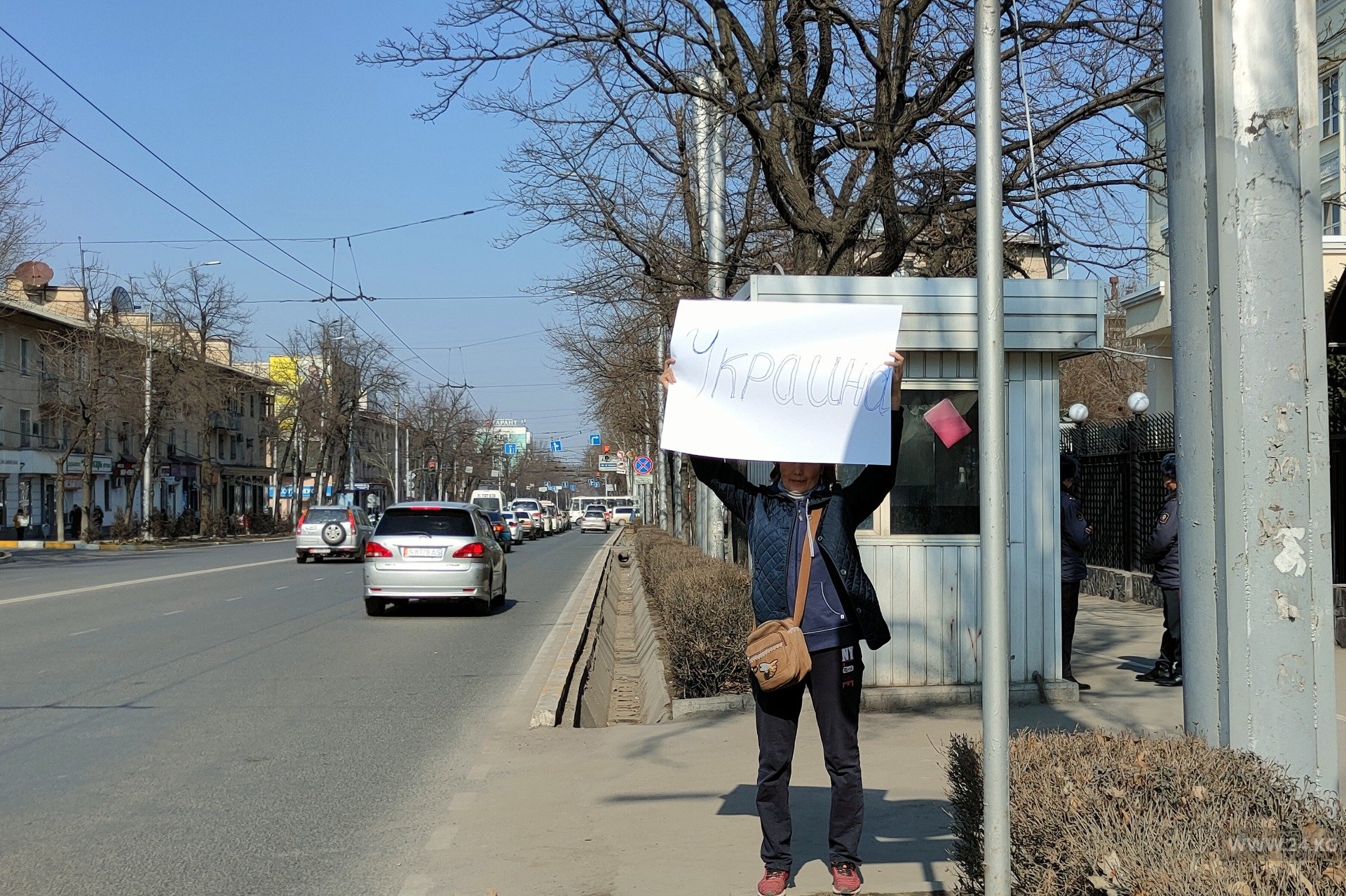 Одиночный пикет
