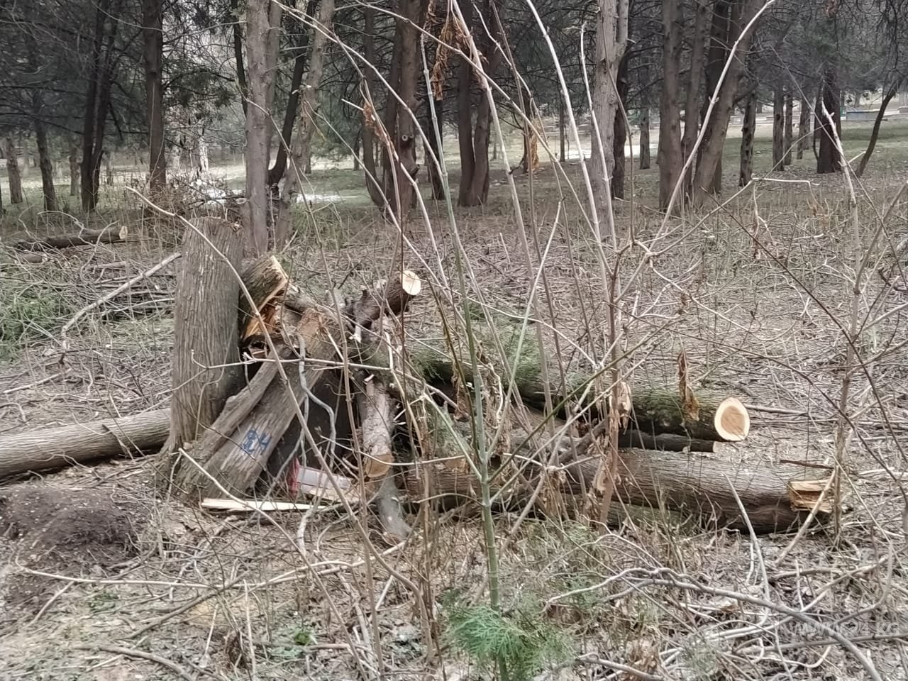 Парк имени Ататюрка