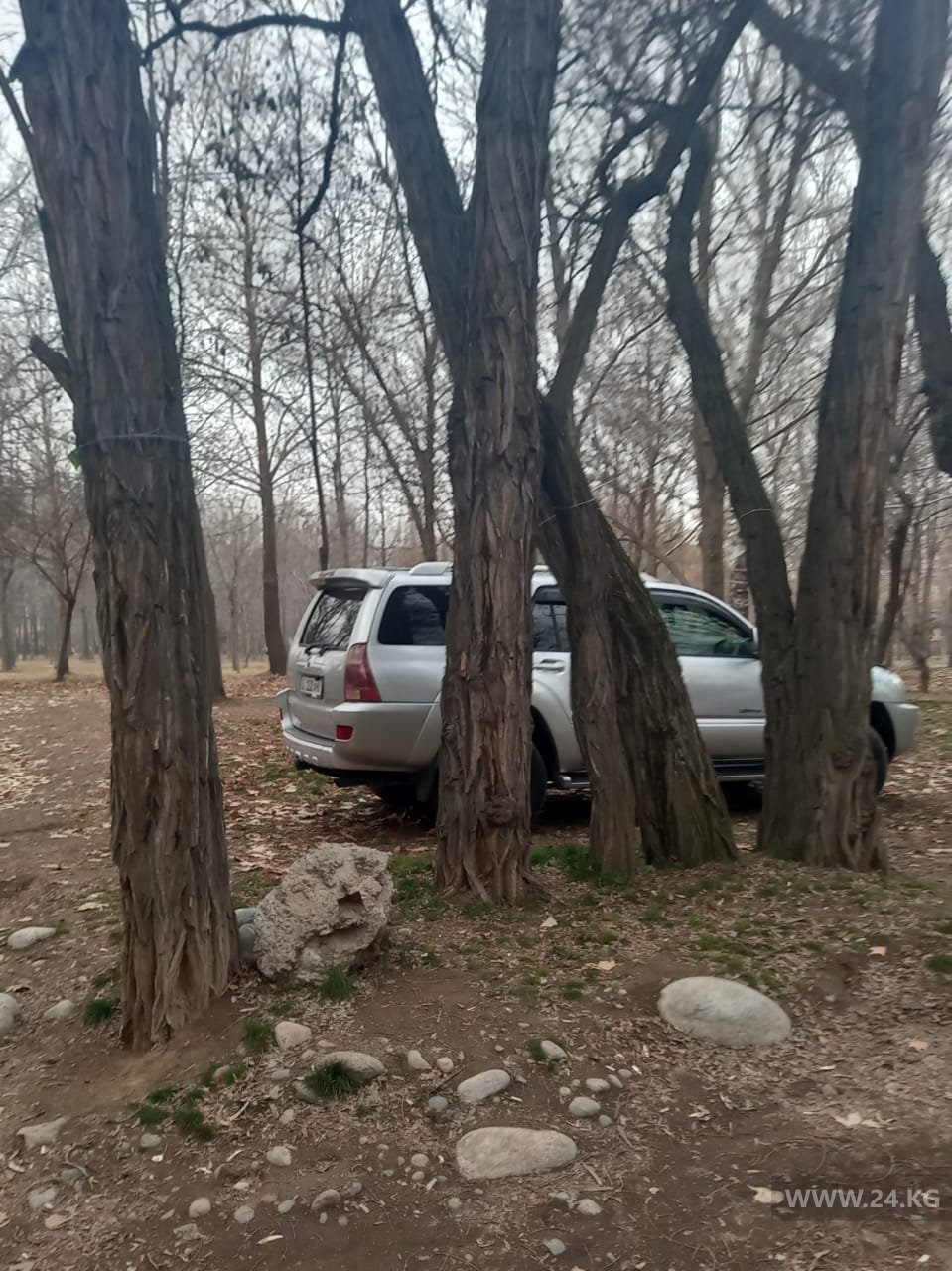 Парковка в парке