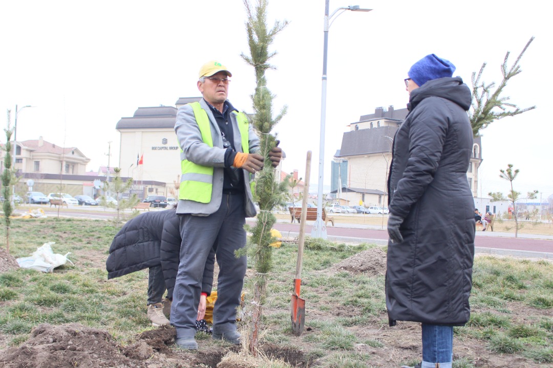 В Парке здоровья высадили 90 сосен