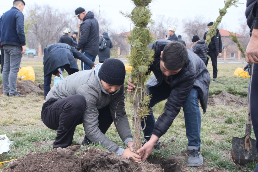 В Парке здоровья высадили 90 сосен
