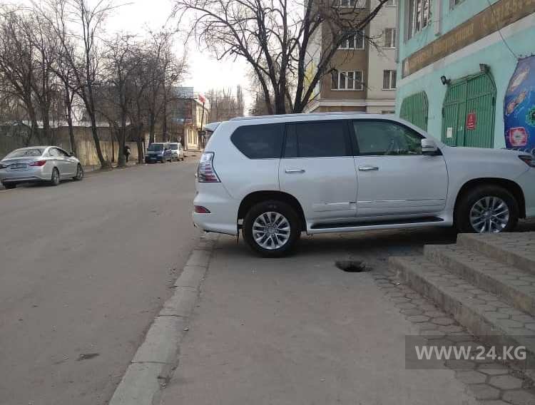 Чудаки парковки