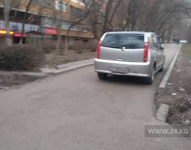 Чудаки парковки