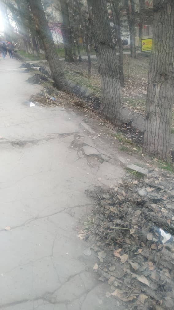 В Бишкеке почистили арык, а мусор сложили на тротуаре