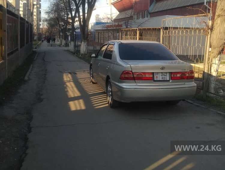 Чудаки парковки