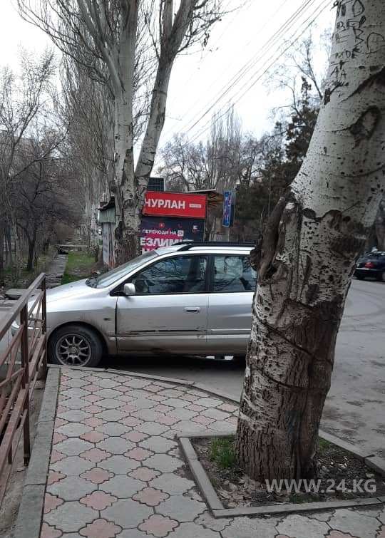 Чудаки парковки